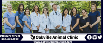 Oakville Animal Clinic