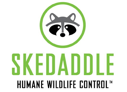 Skedaddle Humane Wildlife Control Oakville